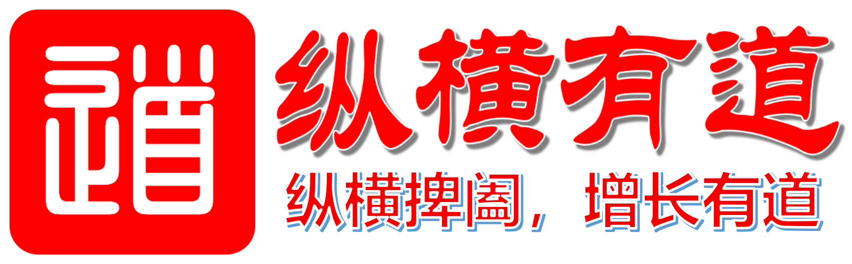 纵横有道AI官网
