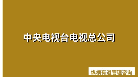 中央电视台电视总公司