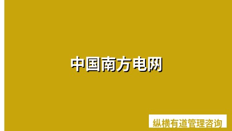 中国南方电网