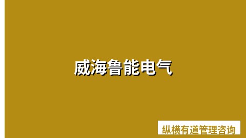 威海鲁能电气