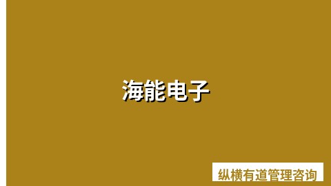 海能电子