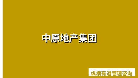 中原地产集团