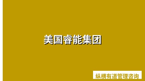 美国睿能集团