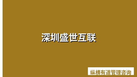 深圳盛世互联