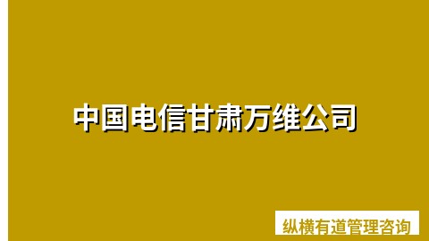 中国电信甘肃万维公司