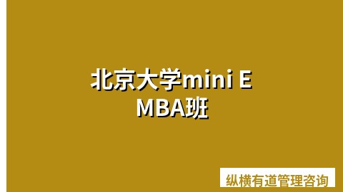 北京大学mini EMBA班