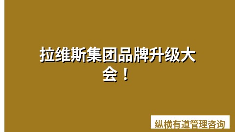 品牌策划：拉维斯集团品牌升级大会！