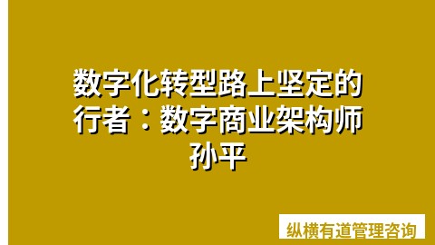 数字化转型路上坚定的行者：数字商业架构师孙平