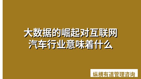 大数据的崛起对互联网汽车行业意味着什么