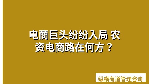 电商巨头纷纷入局 农资电商路在何方？
