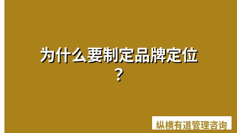 为什么要制定品牌定位？
