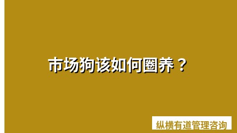 市场狗该如何圈养？