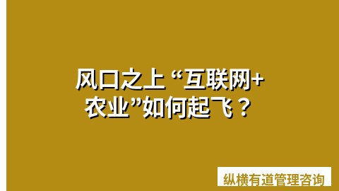 风口之上 “互联网+农业”如何起飞？