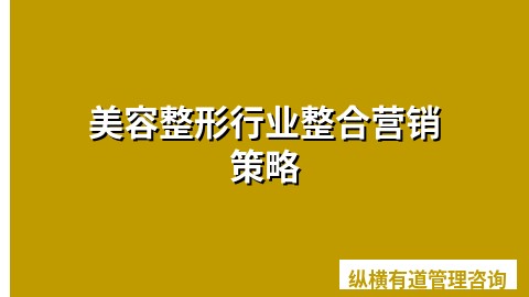 美容整形行业整合营销策略