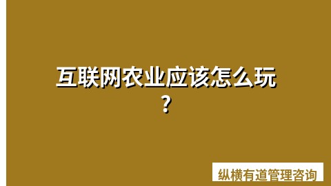 互联网农业应该怎么玩?