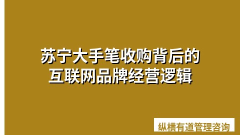 苏宁大手笔收购背后的互联网品牌经营逻辑