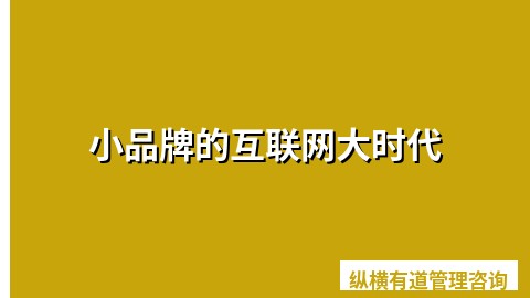 小品牌的互联网大时代