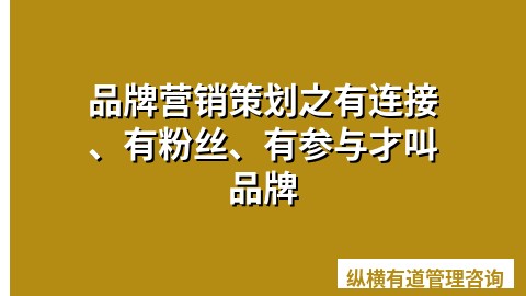 品牌营销策划之有连接、有粉丝、有参与才叫品牌