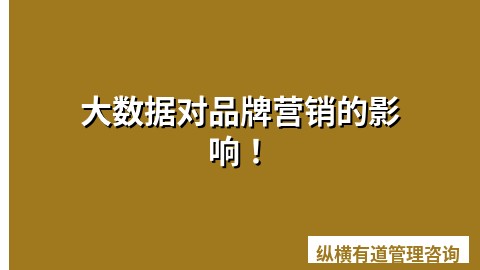 大数据对品牌营销的影响！