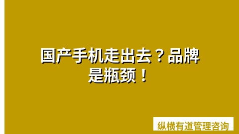 国产手机走出去？品牌是瓶颈！