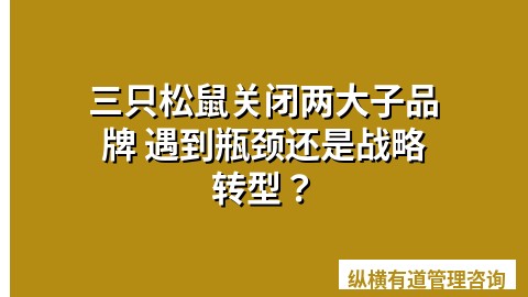 三只松鼠关闭两大子品牌 遇到瓶颈还是战略转型？