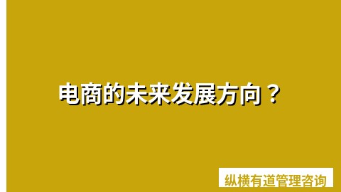电商的未来发展方向？