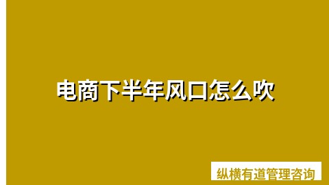 电商下半年风口怎么吹