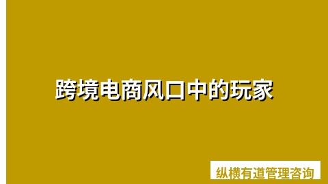跨境电商风口中的玩家