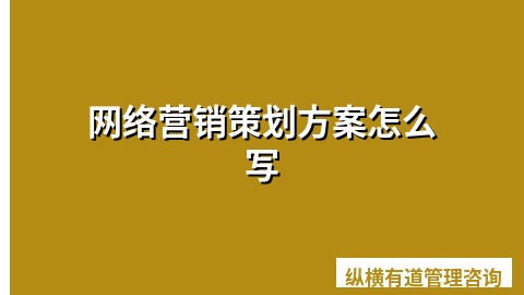 网络营销策划方案怎么写