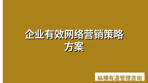 企业有效网络营销策略方案