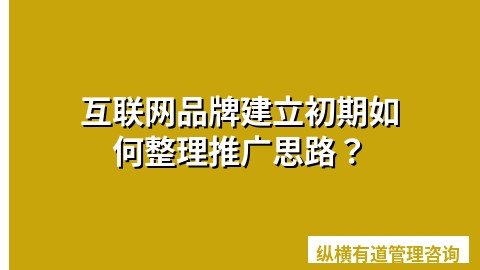 互联网品牌建立初期如何整理推广思路？